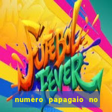 numero papagaio no jogo do bicho