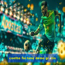 coelho fortune demo grátis