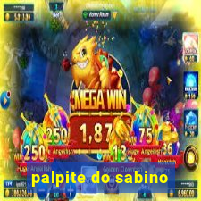 palpite do sabino