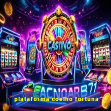 plataforma coelho fortuna