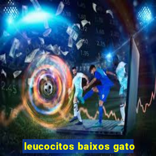 leucocitos baixos gato