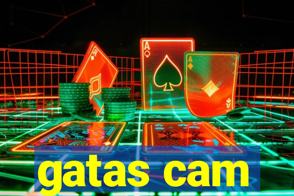 gatas cam