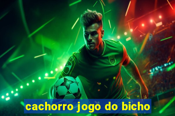 cachorro jogo do bicho