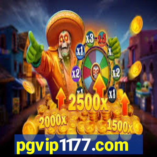 pgvip1177.com